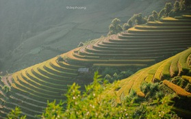 Tháng 9 lên Mù Cang Chải ngắm mùa vàng chảy tràn trên triền núi