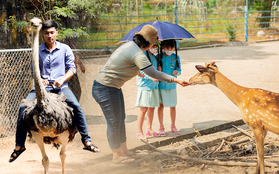 Những vườn thú giúp trẻ nhỏ được trải nghiệm tiếp xúc động vật ở cự ly gần