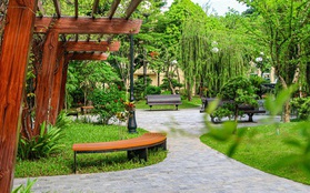 Hà Nội: Trường Đại học có khuôn viên xanh mát, cứ giơ máy lên là có ảnh đẹp