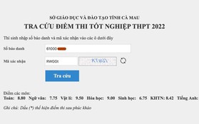 Sở GD&ĐT Cà Mau nói gì vụ học sinh giỏi nhận điểm 0 môn tiếng Anh?