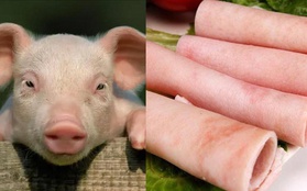 Ở con lợn có 1 thứ có thể bơm collagen, ổn định đường huyết, dưỡng mạch máu tốt nhưng nhiều người vứt bỏ