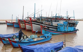 Gần 20 tàu cá, hơn 100 người đang nằm trong vùng nguy hiểm của áp thấp nhiệt đới