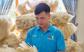 Nghỉ việc ngân hàng lương cao, chàng trai Bắc Ninh biến xơ mướp thành sản phẩm xuất khẩu nghìn đô