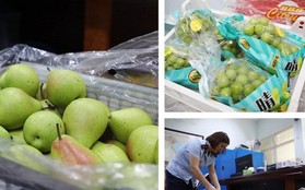 Hà Nội xử lý hàng loạt cửa hàng bán hoa quả nhập khẩu