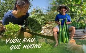 Xuất ngoại trồng rau củ thuần Việt