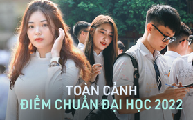 Toàn cảnh điểm chuẩn đại học 2022: Hàng loạt ngành khối C00 chạm mốc gần 30 điểm, Y - Dược giảm nhiều nhất trong vòng 3 năm