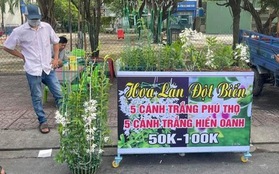 Lan đột biến rớt khốc liệt từ tiền tỉ xuống vài chục ngàn vẫn không ai mua