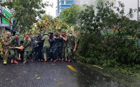 Hình ảnh thiệt hại ban đầu do bão Noru gây ra tại Đà Nẵng