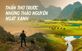 Những "miền thảo nguyên xanh" ở Việt Nam khiến du khách lưu luyến từ cái nhìn đầu tiên