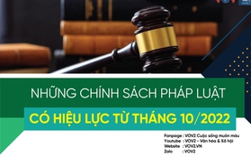 Những chính sách pháp luật có hiệu lực từ tháng 10/2022