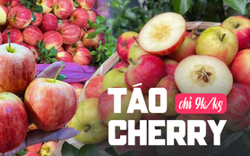 Bất ngờ với loại táo cherry được rao bán trên chợ mạng, giá rẻ chỉ 9 nghìn/kg