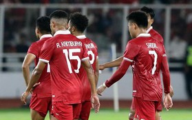 LĐBĐ Indonesia sẽ "họp kiểm điểm" sau thất bại tại AFF Cup