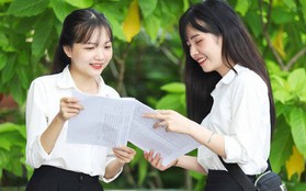 Ngành nghề ở Việt Nam lương lên đến 300 triệu/tháng có nhẹ nhàng "như lời đồn": Đây là tiết lộ của người trong cuộc