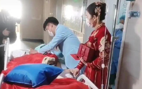 Bố bị hôn mê, chú rể dẫn vợ đến quỳ lạy hành lễ ngay tại bệnh viện gây xúc động