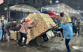 Áo cộc, chân trần "kiếm Tết" trong đêm ở chợ hoa quả lớn nhất Hà Nội