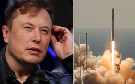 Nhân viên SpaceX: Những ngày không có Elon Musk thật thoải mái, hy vọng ông sẽ tiếp tục tập trung vào Twitter