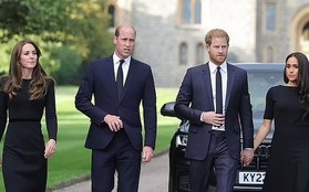 Vua Charles, William - Kate và Harry - Meghan đều bị sụt giảm danh tiếng