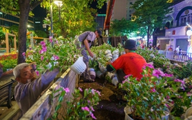 Hàng trăm công nhân xuyên đêm tháo dỡ đường hoa Nguyễn Huệ