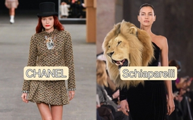 Cùng đưa "sở thú" lên sàn catwalk, nhưng tại sao Chanel được ca ngợi mà Schiaparelli "ăn gạch" tới cả tuần trời?