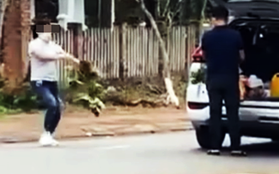 Phẫn nộ với hình ảnh nữ du khách trộm hoa cẩm tú cầu ở Măng Đen