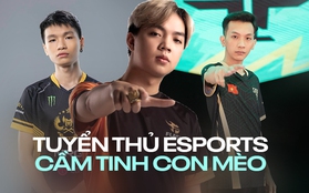 3 ngôi sao nổi tiếng trong làng Esports cầm tinh “mèo vàng”