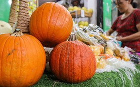 Khách lùng mua trang trí Halloween, bí ngô đủ loại cháy hàng