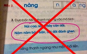 Một số ngữ liệu đang lan truyền trên mạng xã hội không có trong sách giáo khoa