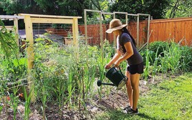 Bà mẹ 4 con dành hầu hết thời gian trong ngày để chăm sóc khu vườn đủ loại rau xanh