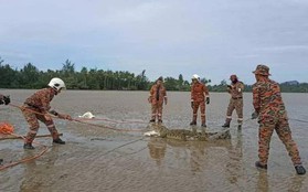 Malaysia: Bắn hạ hàng loạt cá sấu sau khi nhiều người mất tích