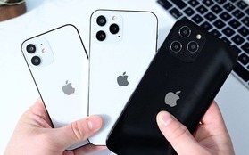 Gần 90% Gen Z ở quốc gia này sở hữu iPhone, Apple chính là "chân ái" của thế hệ trẻ