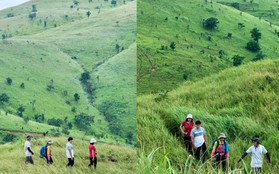 Một thảo nguyên xanh ở Đắk Lắk được giới trẻ săn đón vì cảnh đẹp mê ly