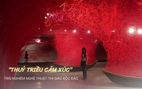 Ấn tượng triển lãm nghệ thuật "Thủy triều cảm xúc" tại Hà Nội, vừa "nhá hàng" mở cửa đã khiến giới trẻ xôn xao khám phá