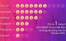 Thể thao Việt Nam so với các nước khu vực Đông Nam Á tại Asiad 19