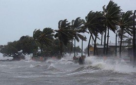 Biển Đông có thể đón 1-2 cơn bão trong tháng 11