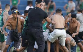 Bạo loạn ở Brazil, CĐV đuổi đánh cầu thủ