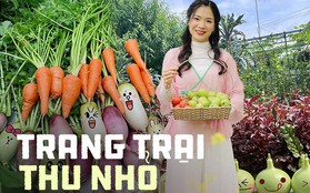 Khu vườn rộng 300m2 sum suê rau trái, mùa nào thức nấy, tươi tốt um tùm của mẹ đảm 4 con ở Quảng Ninh