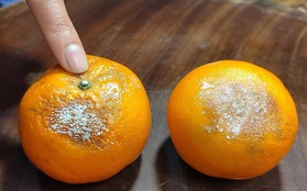 2 vợ chồng cùng mắc ung thư gan: Nguyên nhân đến từ loại trái cây độc gấp 68 lần asen mà họ thường ăn