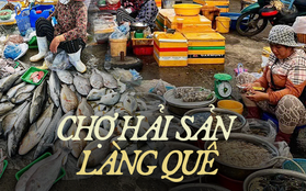 Ninh Thuận có duy nhất khu chợ trăm tuổi và người dân chỉ mẹo chọn hải sản ngon rẻ tại đây