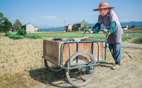 Công nghệ như "phim viễn tưởng" của Nhật Bản: Ai già quá không lao động được, chuyển hết cho robot làm thay!