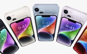 Những mẫu iPhone được coi là thất bại của Apple tại thị trường Việt Nam