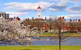 Tất tần tật những điều kiện nhận học bổng Harvard: Có khó khủng khiếp như chúng ta hình dung?