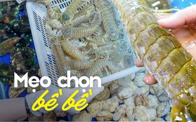 4 chỗ cần xem ngay khi mua bề bề, chọn nhầm có thể mua phải "vỏ rỗng"