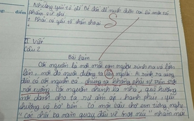 Bài kiểm tra Ngữ Văn khiến giáo viên "áp lực", nhưng dân tình tranh cãi 1 chi tiết: Cóc hay cáo mới đúng?