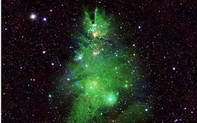 Chòm sao "cây thông Noel" sáng lấp lánh trong vũ trụ