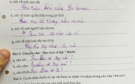 "Sang chấn" với bài tập tiếng Việt của học sinh lớp 3: Chú gà trống ngáy to như con lợn, nhưng đến đoạn tả cây đào mới cười ná thở