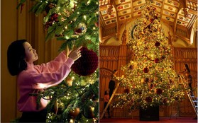 Dinh thự hoàng gia Anh trang hoàng Giáng sinh rực rỡ, chi tiết nào cũng chỉn chu, sang trọng