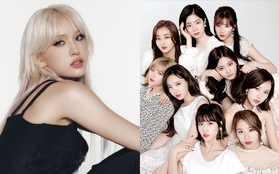 "Bông hồng lai" Jeon Somi và cách ứng xử "đi vào lòng đất": Hết tâng bốc BLACKPINK, cà khịa TWICE đến hùa theo người chửi mắng dàn nghệ sĩ YG