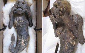 Bí mật về xác ướp “nàng tiên cá” được tôn thờ 300 năm ở Nhật Bản cuối cùng cũng được giải mã: Sự thật vô cùng gây sốc