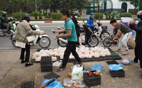 Sự thật chuyện "giải cứu trứng gà 65.000 đồng 30 quả'' tràn lan trên vỉa hè Hà Nội