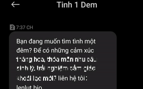 Nở rộ tin nhắn lừa đảo "tình một đêm"